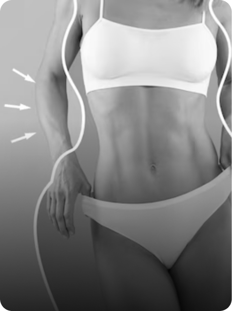 AI지방분해 즉시스템