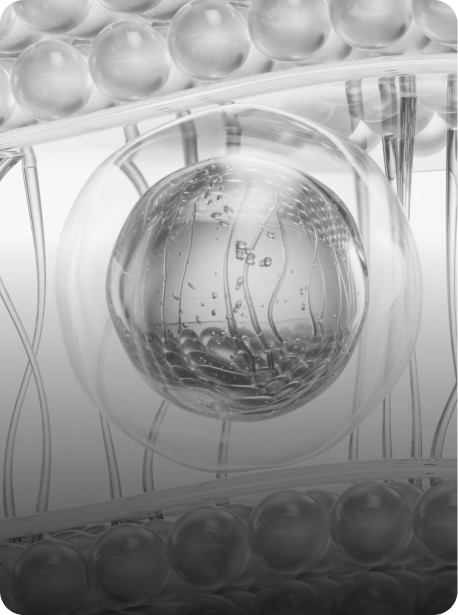 줄기세포지방이식